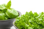 Sowing and growing annual herbs Sowing and growing annual herbs