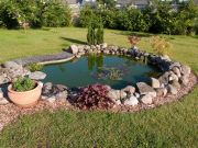 Year round pond care Year round pond care