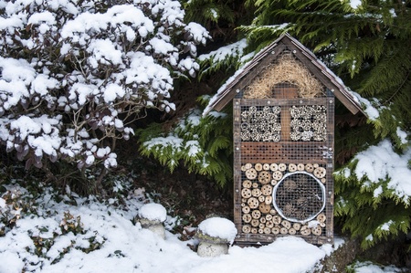 9 ways to make your garden wildlife-friendly this winter