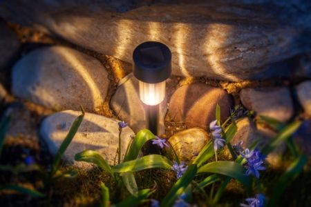 How to use solar lights in your garden