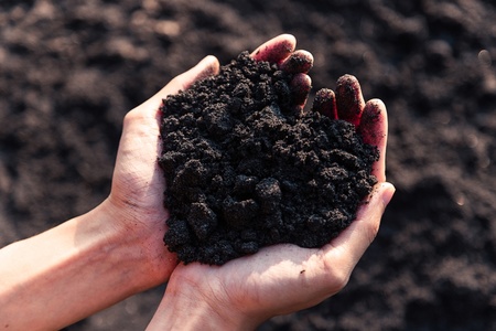 Tips for healthy soil