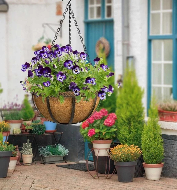 14" Artisan Hanging Basket