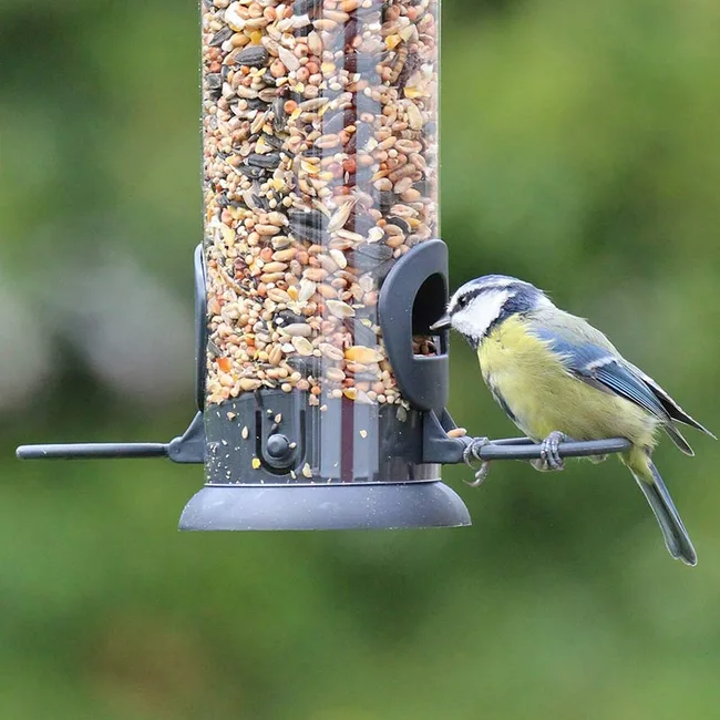 25% off Henry Bell Superior Seed Mix