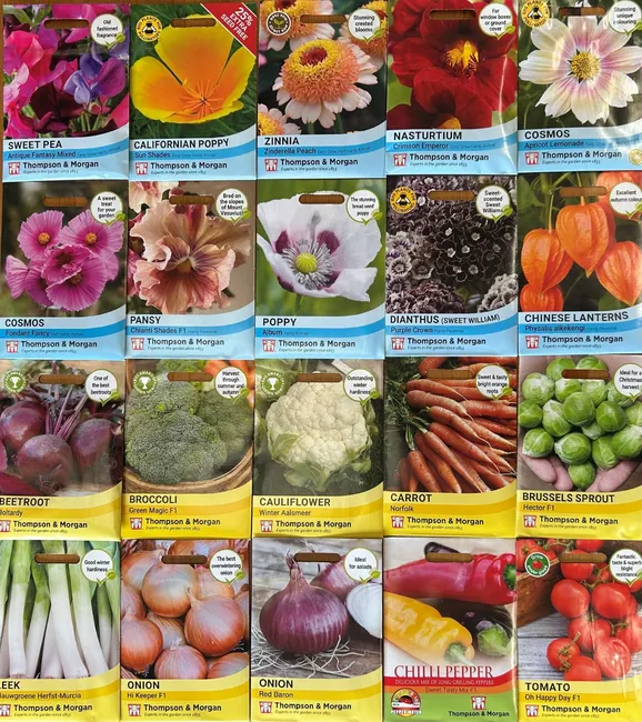 All Offer August - 50% off T&M seeds