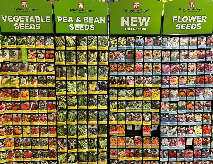 Lakeside Recommends...