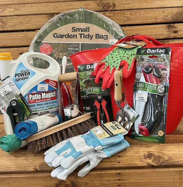 Lakeside Recommends for November...