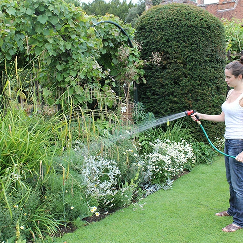 Lakeside Recommends... Tidying, Clipping and Snipping