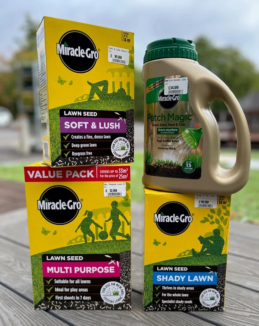 Grass Seed and Patch Magic
