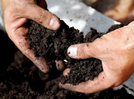 Soil and fertilisers